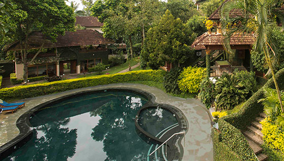 Pool surrounded by lush green trees in Cardamom County Thekkady